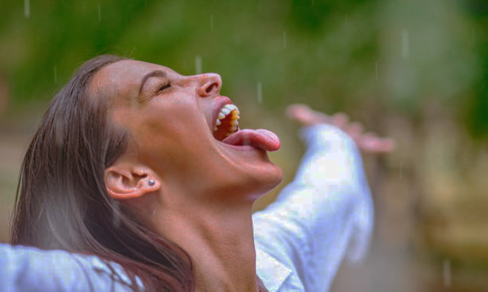 la lengua